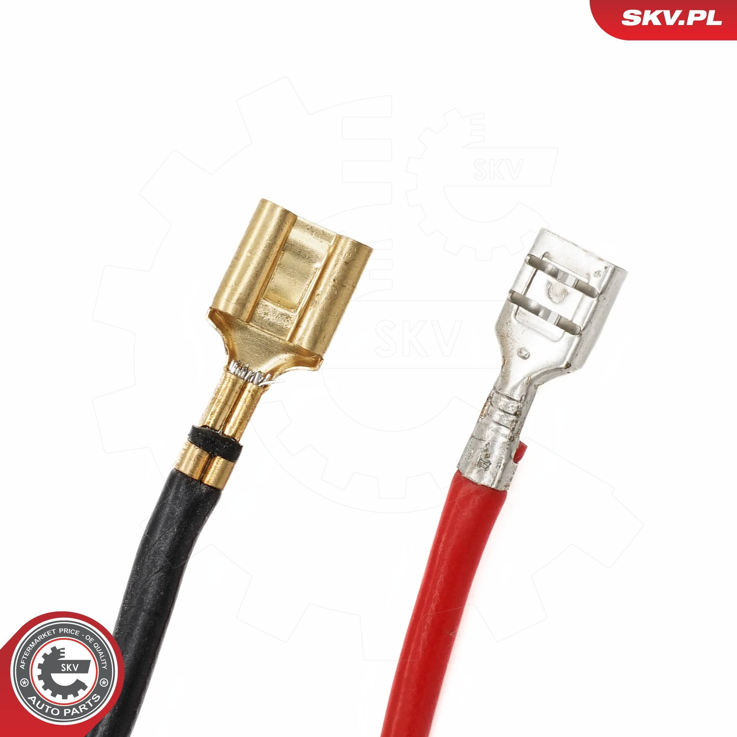 68SKV219 SKV